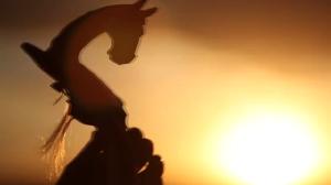 致敬科技之光——祝全區(qū)科技工作者節(jié)日快樂！